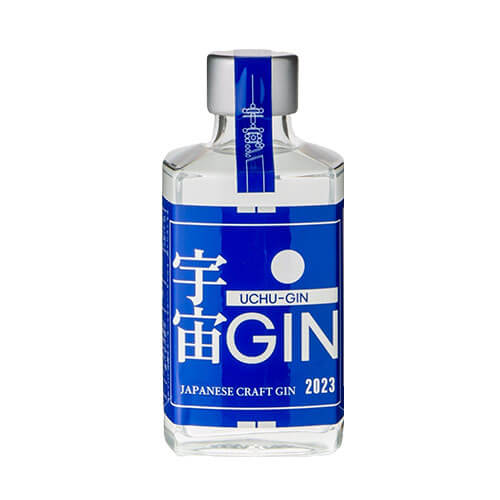 宇宙GIN