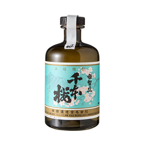 母智丘 千本桜 dazai